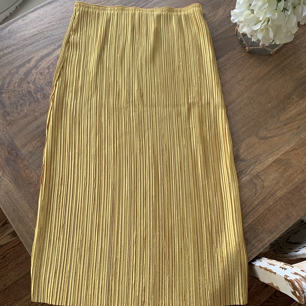 Anthropologie skirt- never worn with tags